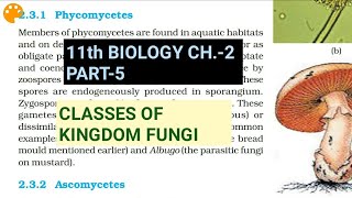 Class 11 BiologyCh2 Part5Classes of FungiStudy with Farru [upl. by Katine537]