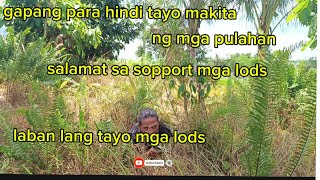 gapang para sa kaligtasan Ep63 fb Edwin adventure [upl. by Ynnot]