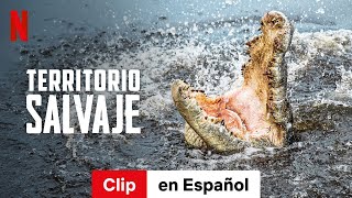 Territorio salvaje Temporada 1 Clip  Tráiler en Español  Netflix [upl. by Imogene]