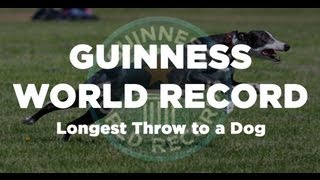 GUINNESS WORLD RECORD  Longest Throw Caught by a Dog  402 feet Davy Whippet [upl. by Sanson]