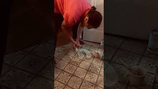 Linoleum floor cleaning [upl. by Howarth826]