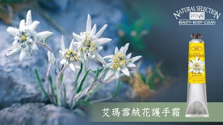 rech18瑞其18 艾瑪雪絨護手霜產品簡介 [upl. by Lud]