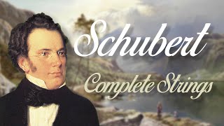 Schubert Complete String Quartets [upl. by Nowtna663]