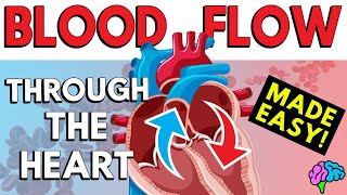 Blood Flow Through the Heart Made Easy in 5 Minutes [upl. by Brande]