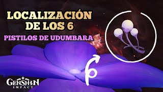 🌷Los 6 PISTILOS de UDUMBARA  Ubicaciones y Como Obtenerlos  Genshin Impact 36 [upl. by Ateerys]