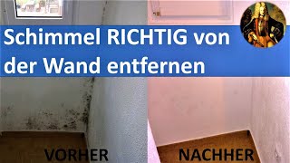 Schimmel RICHTIG von der Wand entfernen [upl. by Cyndia]