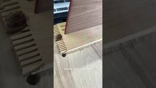 Game How big is my walnut diy work woodworking carpentry build [upl. by Ottie]