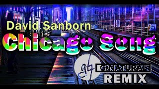 David Sanborn  Chicago Song GNatural Remix [upl. by Elyn997]