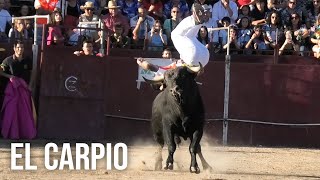 El Carpio 2024 Concurso con Toros Bravos [upl. by Norton161]