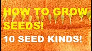 HOW TO GROW SEEDS  PLANT SEEDS  GARDENING PHILIPPINES [upl. by Rika]