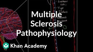 Multiple sclerosis pathophysiology  Nervous system diseases  NCLEXRN  Khan Academy [upl. by Rebme]