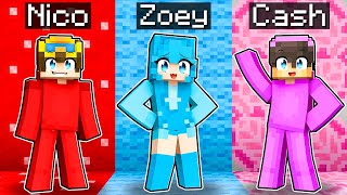 We SWAPPED COLORS In Minecraft [upl. by Eelrahs392]