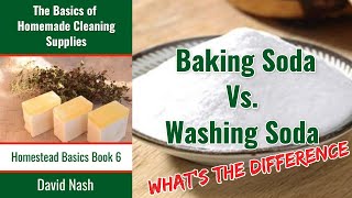 Washing Soda vs Baking Soda  What is the Difference  Sodium Carbonate amp Sodium Bicarbonate [upl. by Spark]