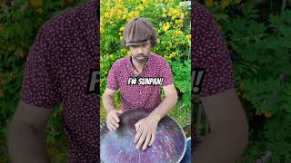 The Weirdest Handpan The Sunpan handpan percussion handpanmusic [upl. by Varien]