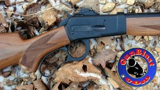 Shooting the Big Horn Armory Model 90 460 SampW Magnum LeverAction Rifle  Gunblastcom [upl. by Jacobah416]