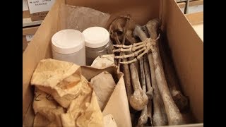 The Kurnell Bones Mystery  New South Wales Australia [upl. by Hillard]