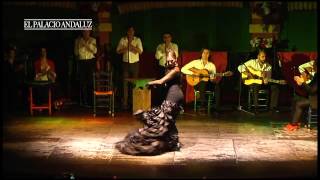 Espectáculo Flamenco en Sevilla  Tablao Flamenco El Palacio Andaluz [upl. by Tebasile]