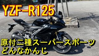 YZFR125 原付二種スーパースポーツはどんな感じなんでしょう [upl. by Queston]