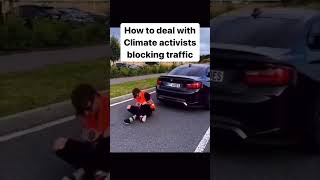 How to deal with a Climate activist automobile blocking traffic [upl. by Luwana857]