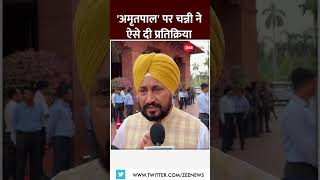 Shorts अमृतपाल पर चन्नी ने ऐसे दी प्रतिक्रिया  Charanjit Singh Channi Parliament session 2024 [upl. by Schuyler863]