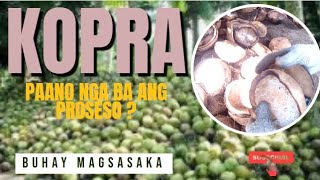 MGA PROSESO PAANO MAGLUTO NG KOPRA [upl. by Analla]