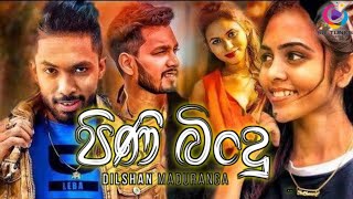 Pini Bindu පිණි බිංදු  Dilshan Maduranga New Song 2024  Sanda Nathi Wu Kalu Ahasai [upl. by Allwein]