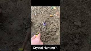 I found some purple stones while digging by the seacrystals crystalstonecrystalhunting [upl. by Zitella]