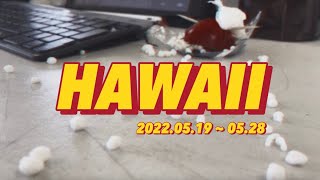 HAWAII Vlog  YWAM KONA DTS IKDTS 2022051928 다음스텝을 준비하는 기간 또 다시 마우나케아  하와이 신혼 [upl. by Ikairik]