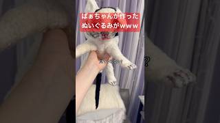 衝撃すぎてネイルにした（ばあちゃんらぶ🫰♡）セルフネイル おかば ジェル ネイル おしゃれネイル 猫 日常 ぬいぐるみ ネイルアート [upl. by Docile]