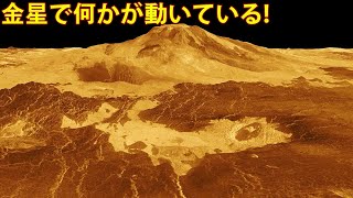 金星の新たな謎！専門家が発見したものとは？ [upl. by Heid]