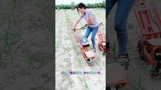 Electric weeder Peanut furrow soil weeding machine New agricultural machinery Treading machine C [upl. by Aemat461]