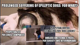 Dog had a seizure Side Effects Barking Dog Culture self inflicted suffering for profit [upl. by Haniraz705]