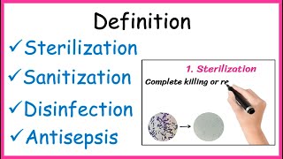 Definition  Sterilization  Disinfection  Sanitization  Antisepsis [upl. by Vary466]