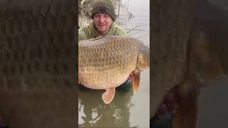 PB58lb fishing carpe carpfish frenchcarp francecarpfishing carps carp carpangling carping [upl. by Dnomaid]