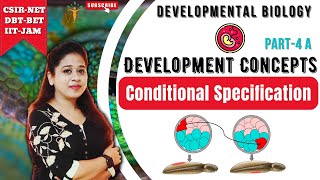 Conditional Specification 1  Basics of Developmental Biology  Developmental Biology CSIR NET [upl. by Hose]