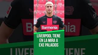 🔴 ¿EXEQUIEL PALACIOS a LIVERPOOL [upl. by Rosco]