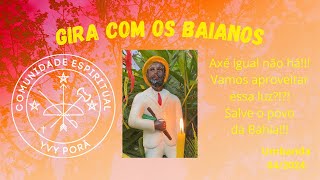 Gira com os Amados Baianos  Umbanda [upl. by Mihe564]