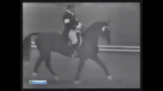 Olympic Games 1964  Dressage [upl. by Rafat543]