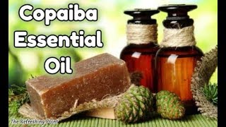 Copaiba Essential Oil The Magnifier Oil  Amazing Uses for The Skin Plus Other Benefits and Recipes [upl. by Leoline]