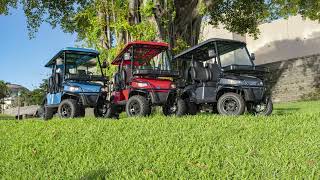 Discover the best golf carts in Hartville and Medina Ohio [upl. by Stone]