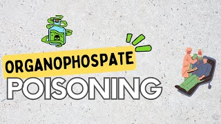 Organophosphate poisoning signs Pathophysiology diagnosis and Treatment [upl. by Thane942]