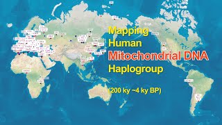 Where did the mtDNA haplogroups live [upl. by Ekoorb]