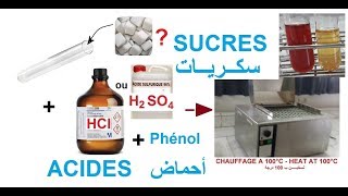 Identification visuelle des sucres glucides par réactions chimiques [upl. by Nynnahs59]