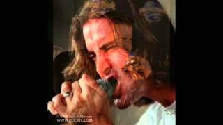 Scott Stapp Creed  Through The Wall Unreleased Song [upl. by Hills869]