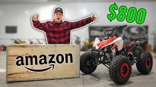 Testing 800 Amazon Quad It gets Destroyed [upl. by Pazit583]