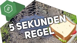 Stimmt die „5 Sekunden Regel“ [upl. by Anela654]