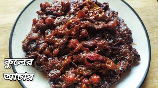 Kuler Achar  Tok Jhal Misti Kuler Achar  Kuler Achar Recipe In Bengali  Boroi Achar [upl. by Ecnirp]