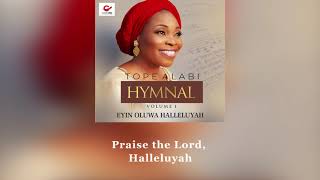 TOPE ALABI HYMNAL  EYIN OLUWA HALLELUYAH [upl. by Allimrac]