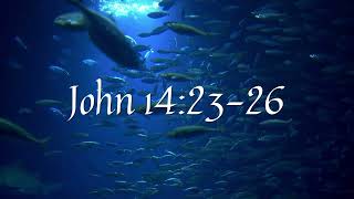 Daily Bible Reading for 102724  John 142326 [upl. by Jdavie848]