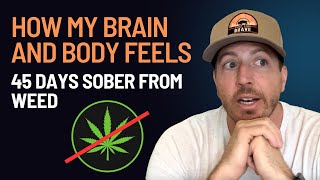 What happened when I quit smoking weed after 20 years day 45 of sobriety [upl. by Ardnal]